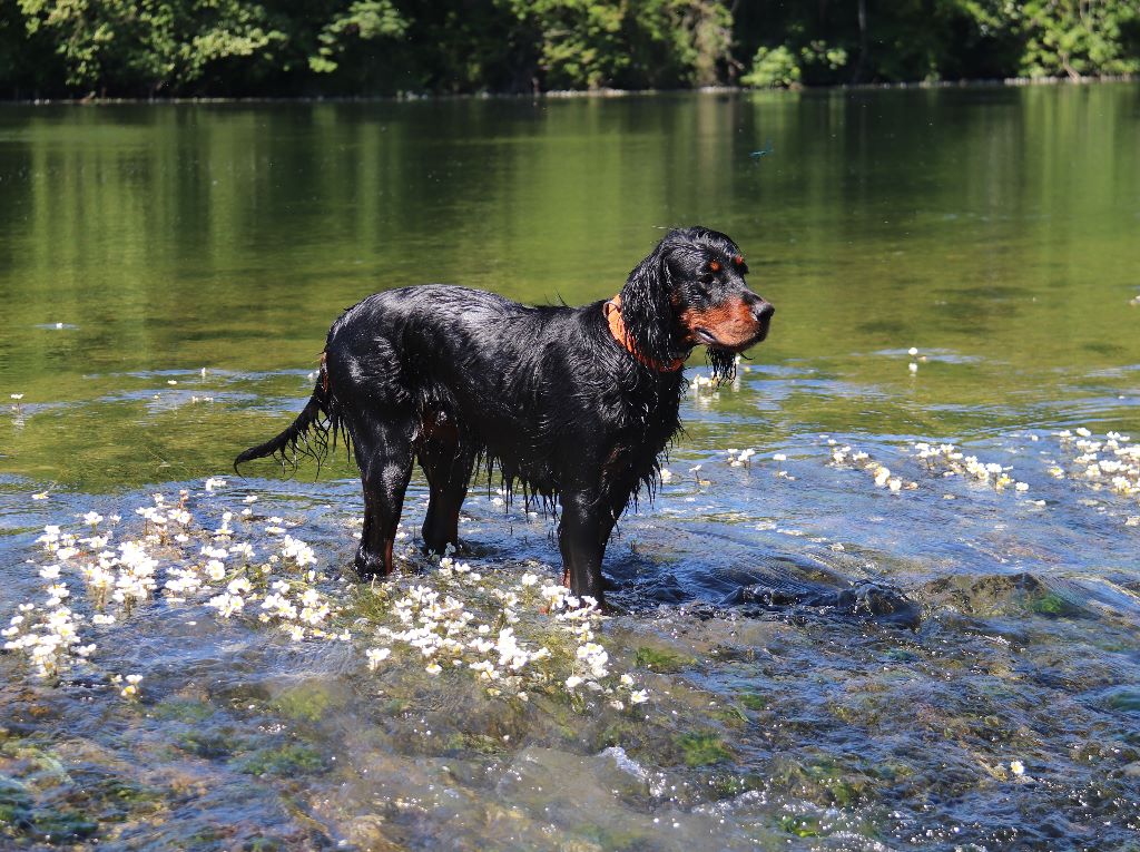 Molly Du Marais De La Vouivre